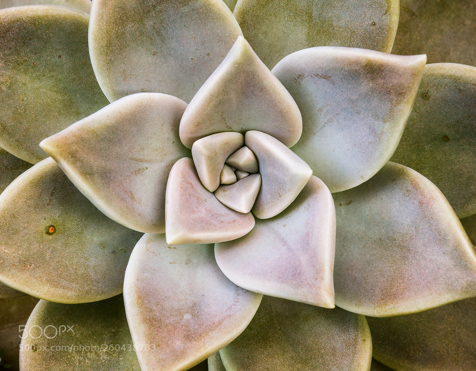 Canon EOS 7D sample photo. Light photography