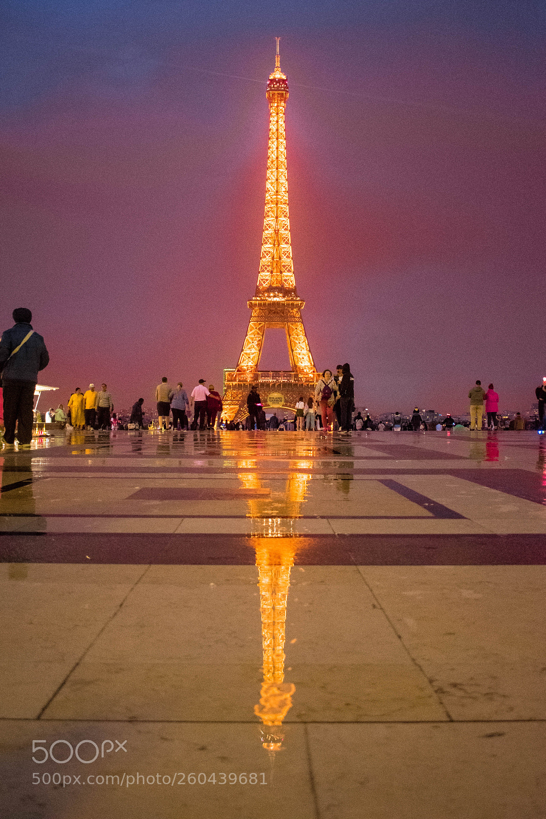 Nikon D5500 sample photo. Dame de fer photography