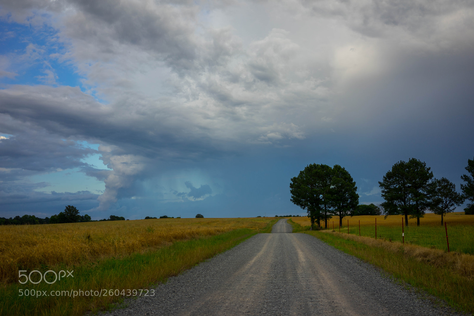 Sony a7 II sample photo. Long gravel road photography