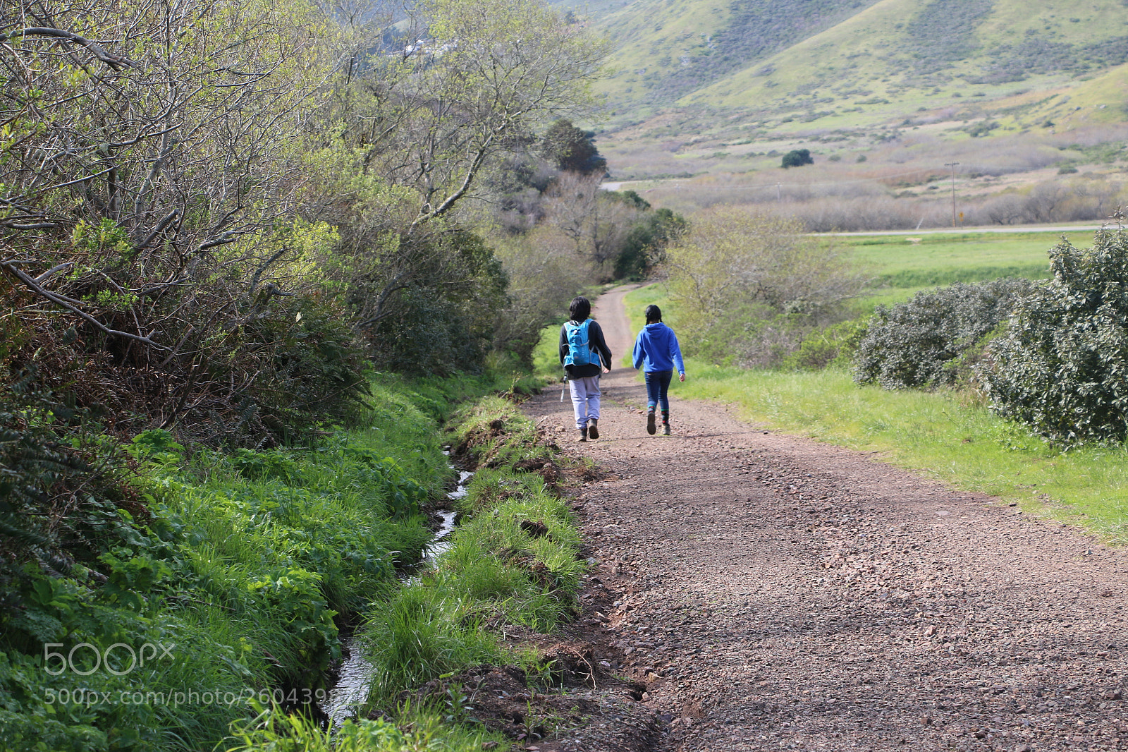 Canon EOS 70D sample photo. Untitled photography
