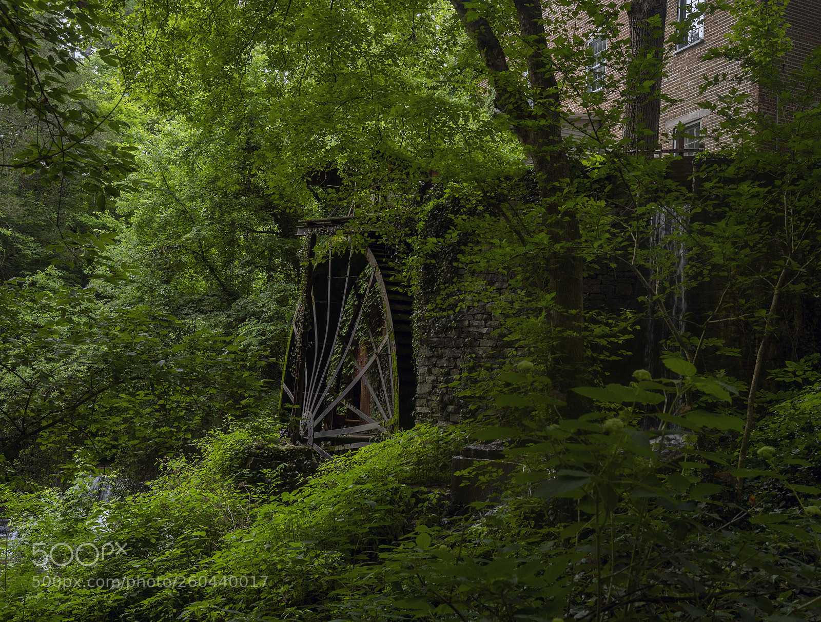 Olympus OM-D E-M1 Mark II sample photo. Water wheel photography