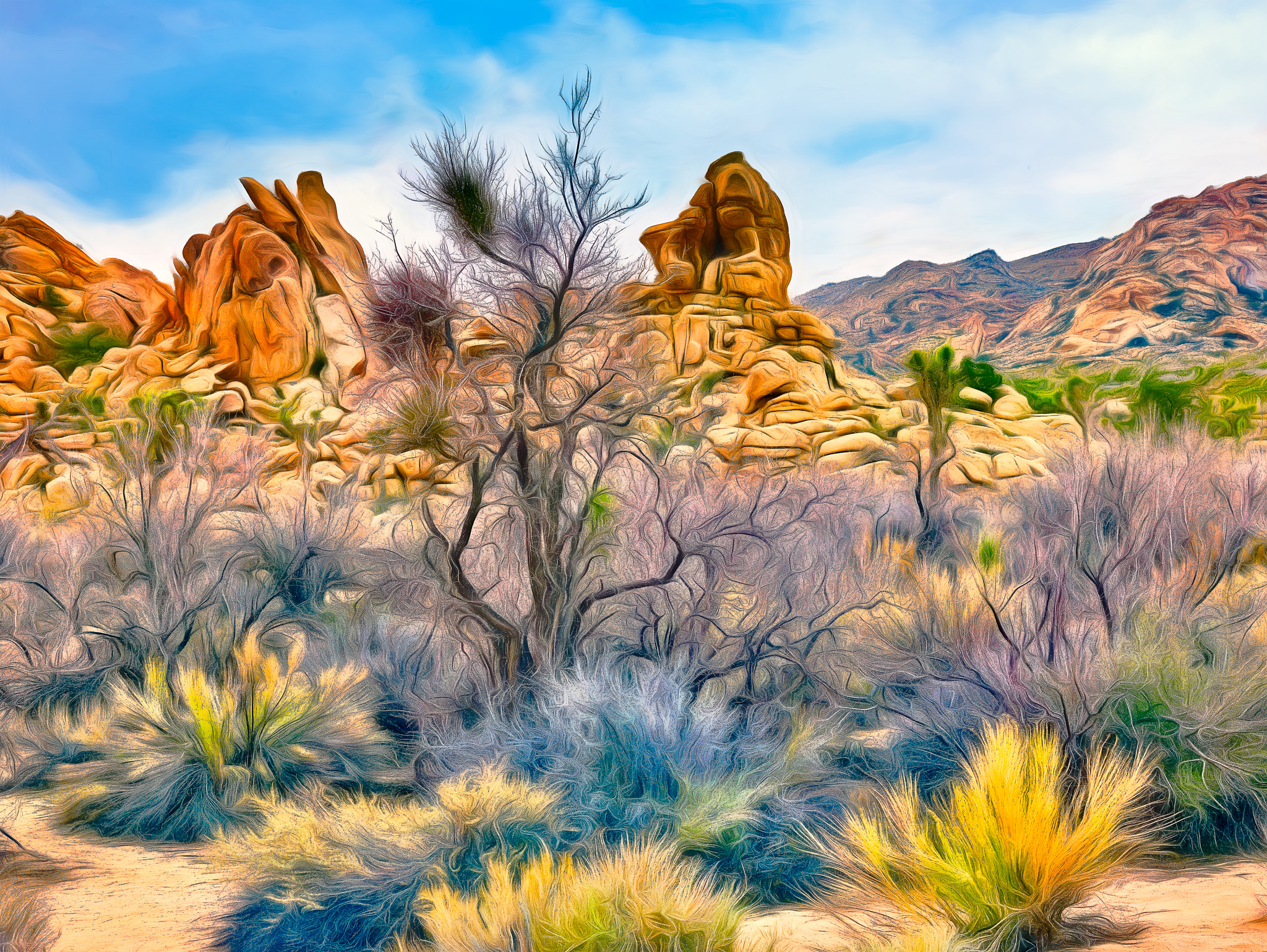 Phase One IQ180 sample photo. Joshua tree wonderland photography