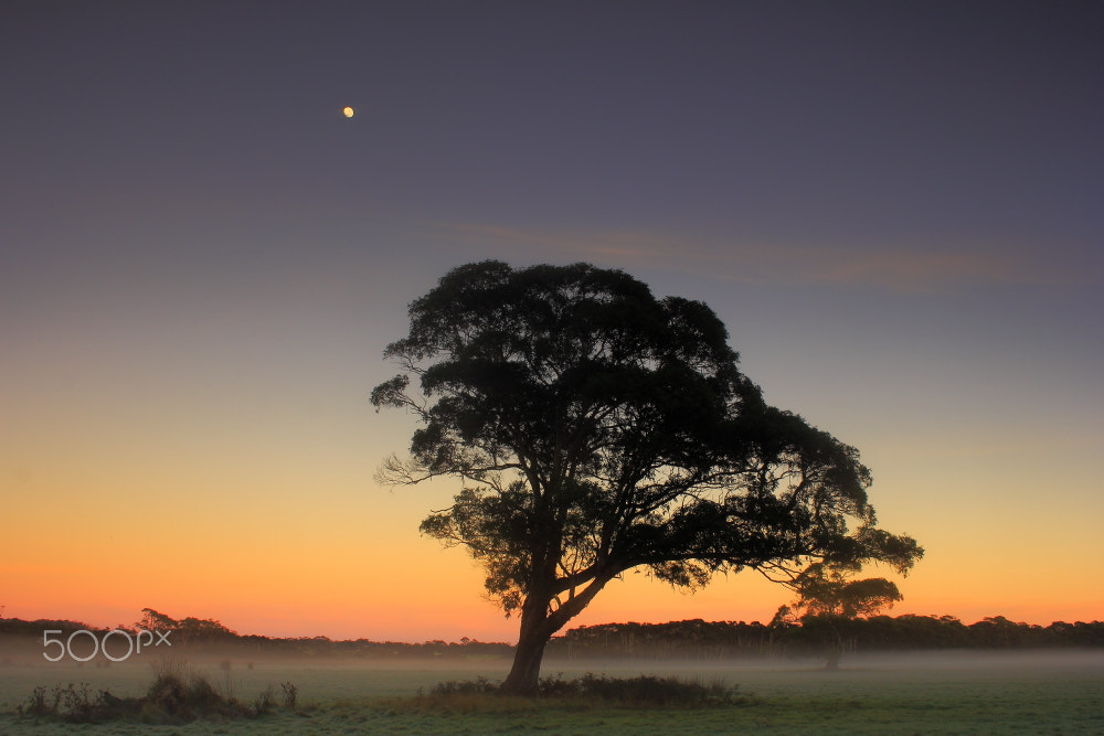 Canon EOS 60D sample photo. Winters sunrise photography