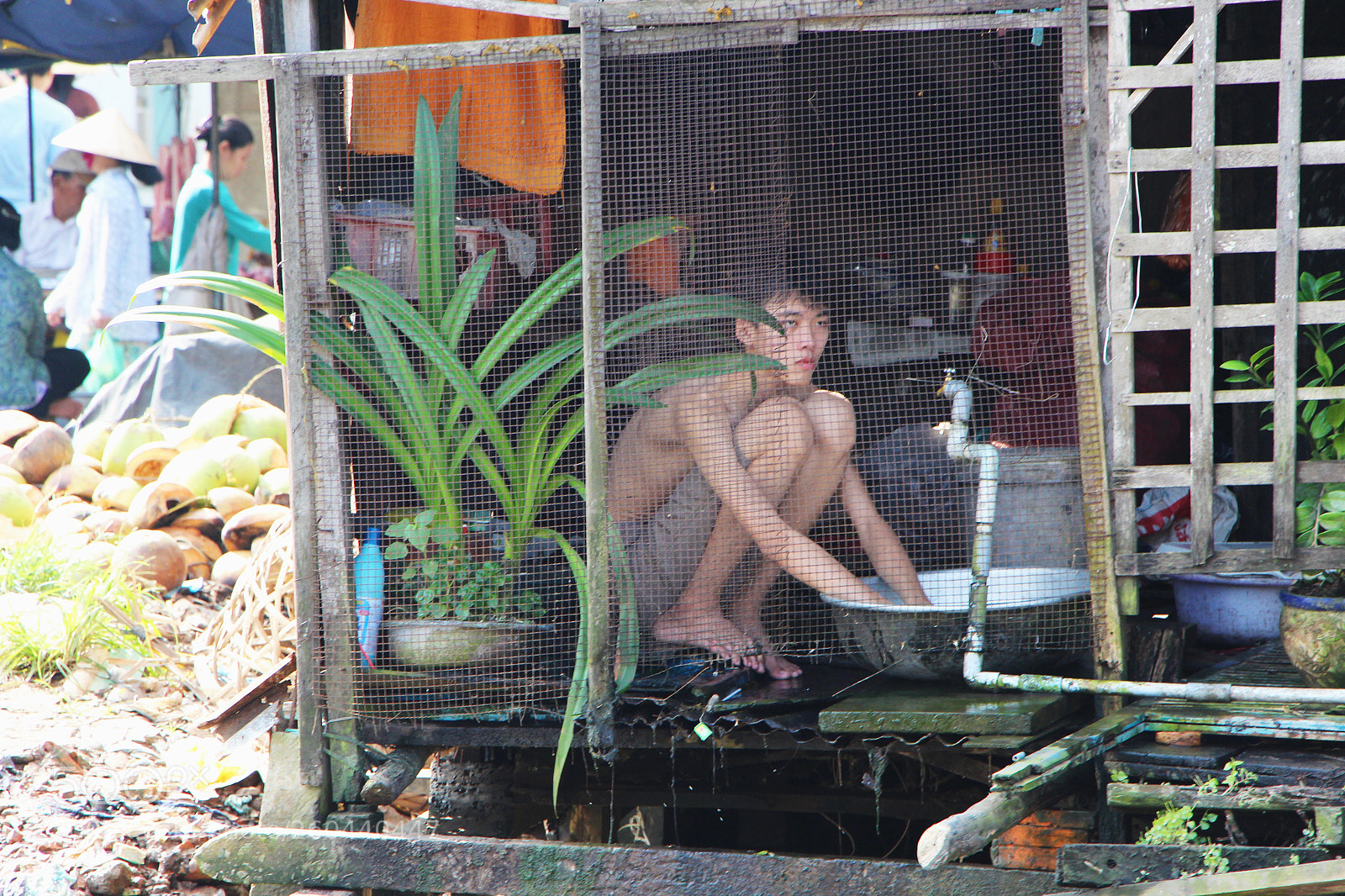 Canon EOS 650D (EOS Rebel T4i / EOS Kiss X6i) sample photo. Boy wash riverside cage photography