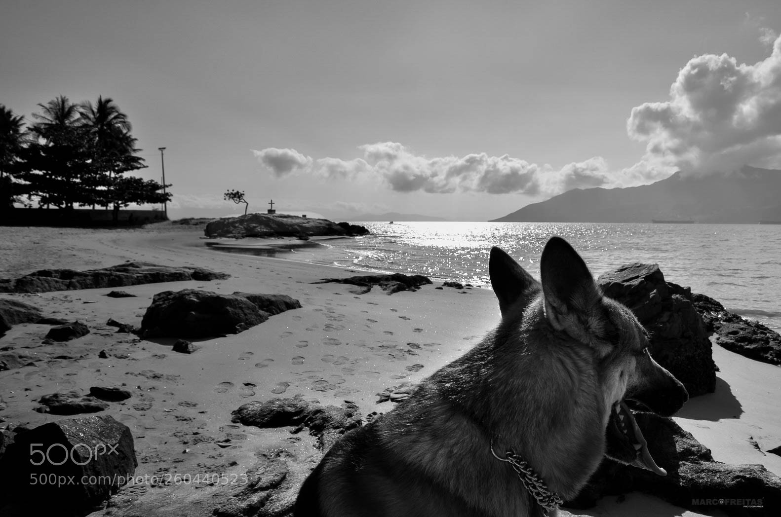 Nikon D7000 sample photo. Foco fiel photography