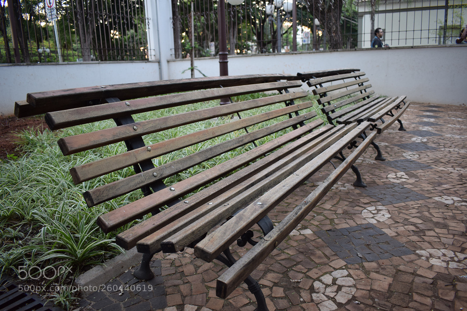 Nikon D5300 sample photo. Take a rest photography