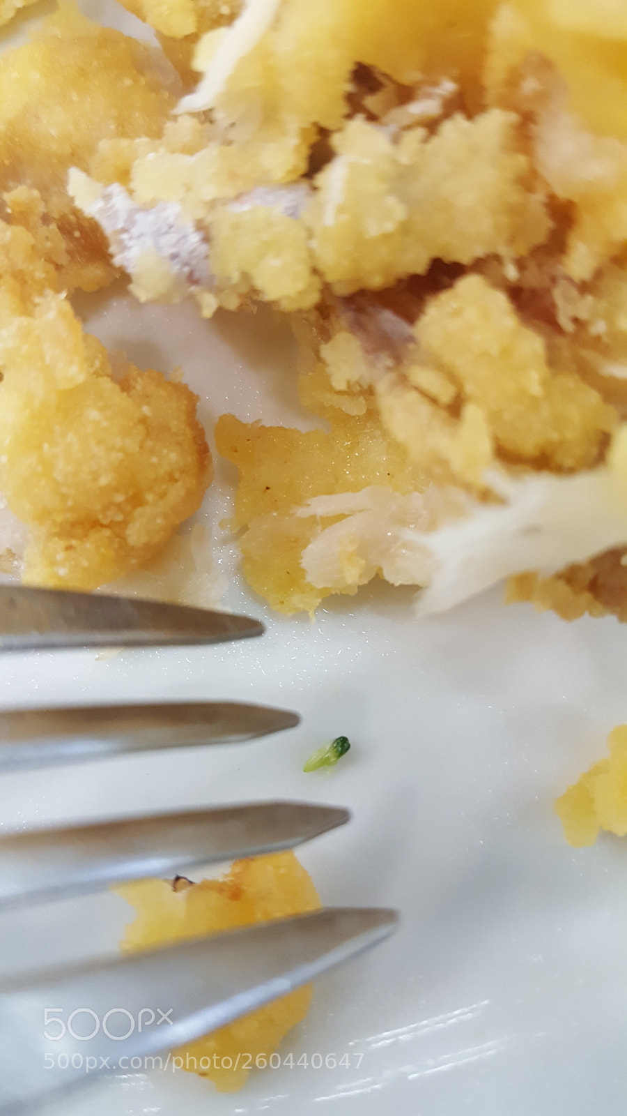 Samsung Galaxy Note5 sample photo. Last surviving broccoli photography