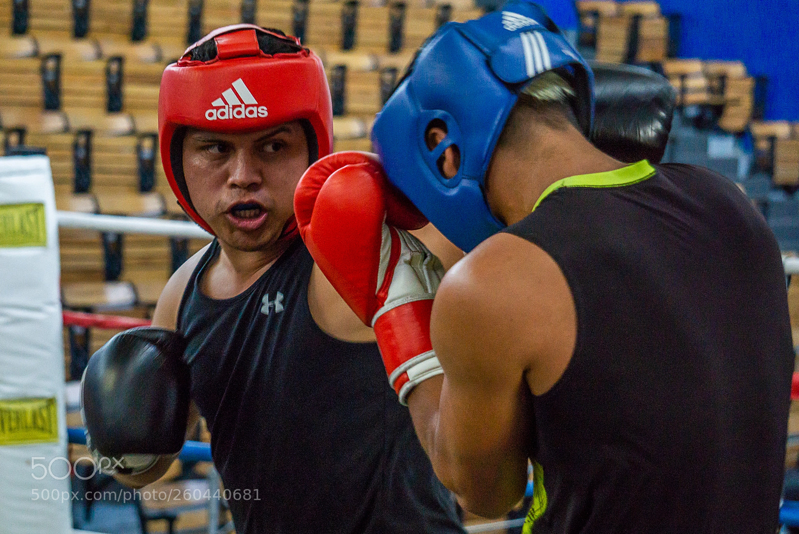 Sony a6000 sample photo. Boxeador photography