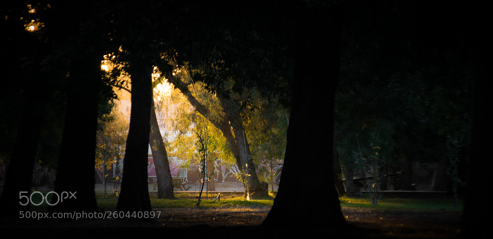 Nikon D5300 sample photo. En la quinta normal photography
