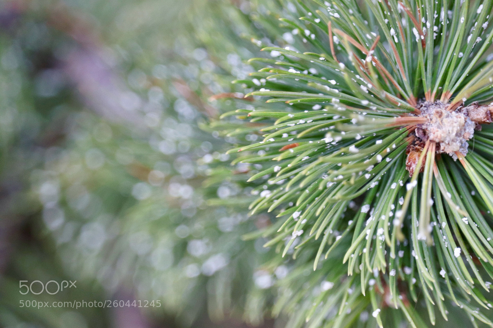 Canon EOS 77D (EOS 9000D / EOS 770D) sample photo. Untitled photography