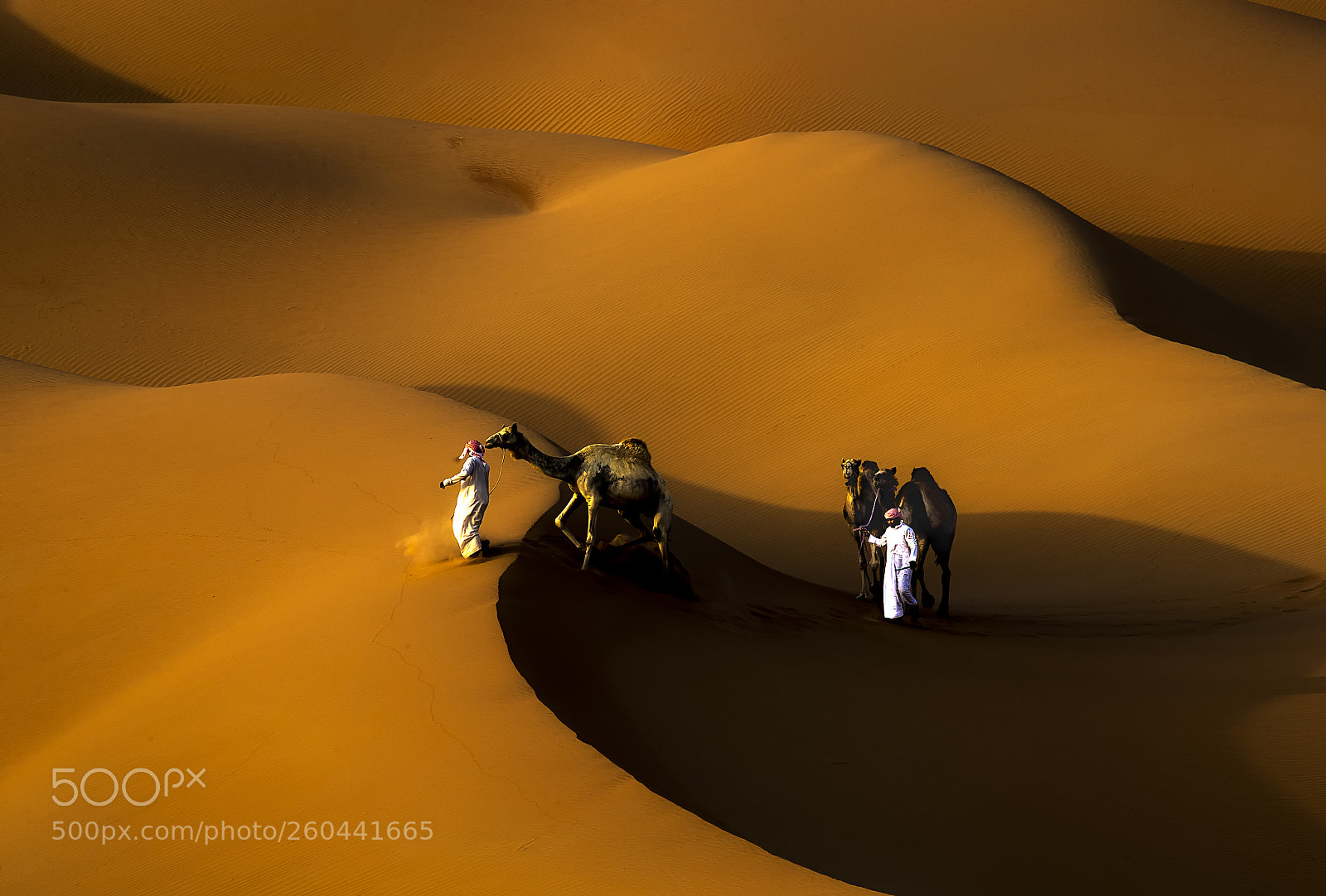 Canon EOS-1D X Mark II sample photo. Crossing dunes photography