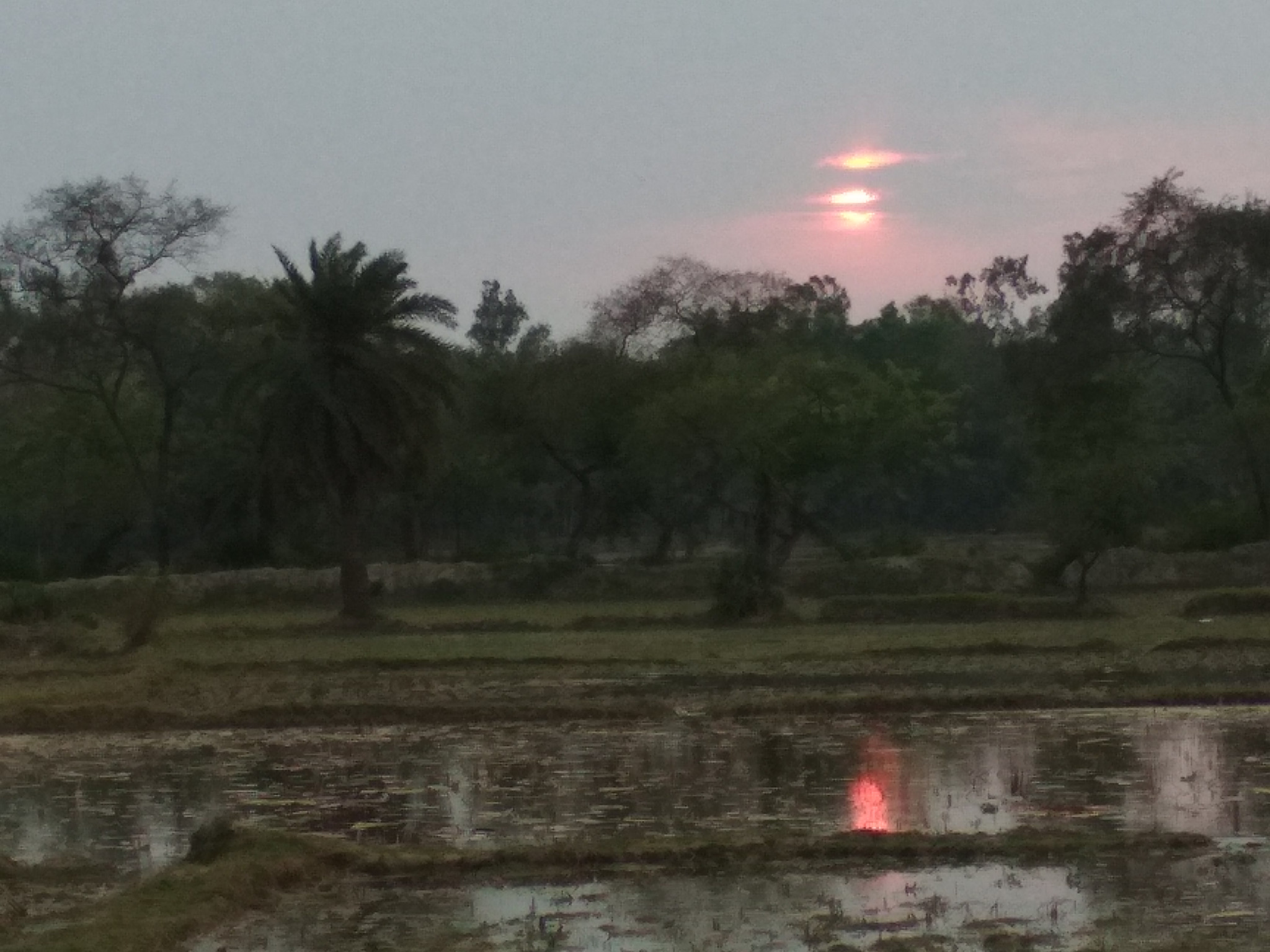 Xiaomi Redmi 4 Pro sample photo