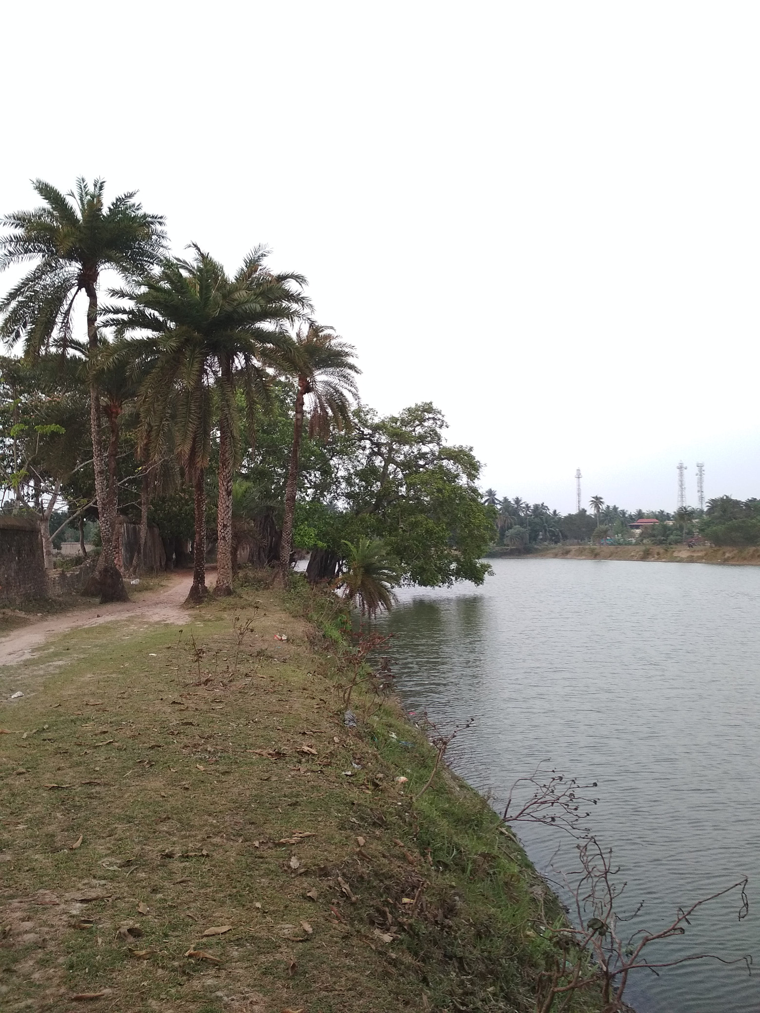 Xiaomi Redmi 4 Pro sample photo