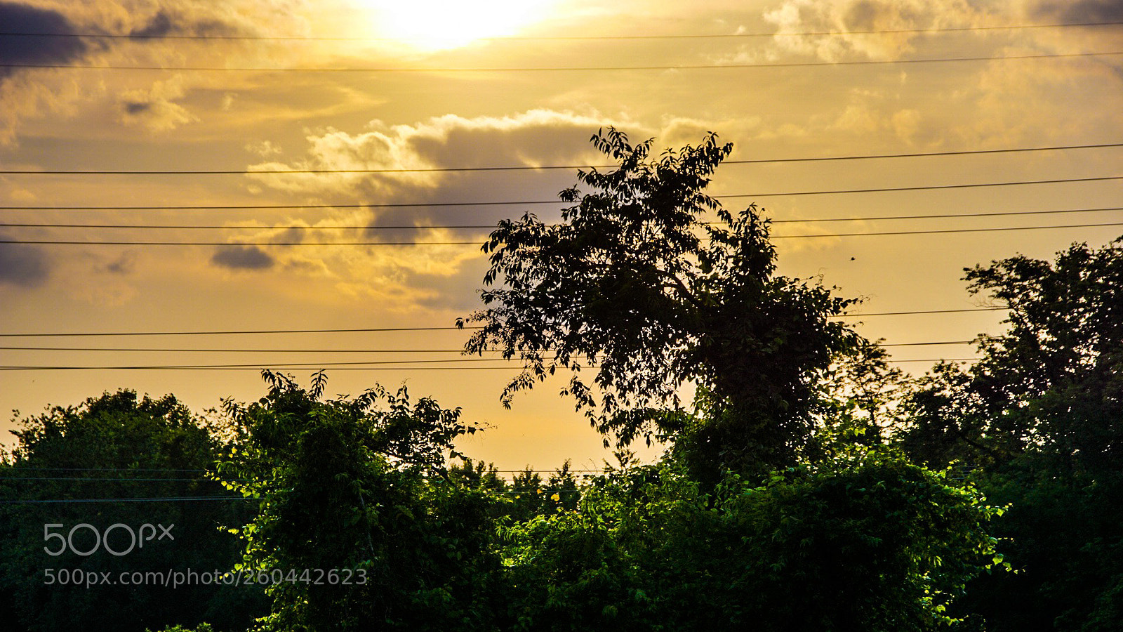 Sony a6000 sample photo. The sun setting over photography