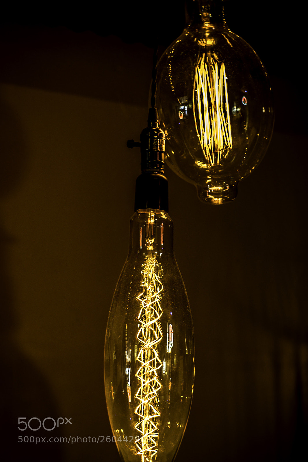 Sony a9 sample photo. Two bulbs. photography