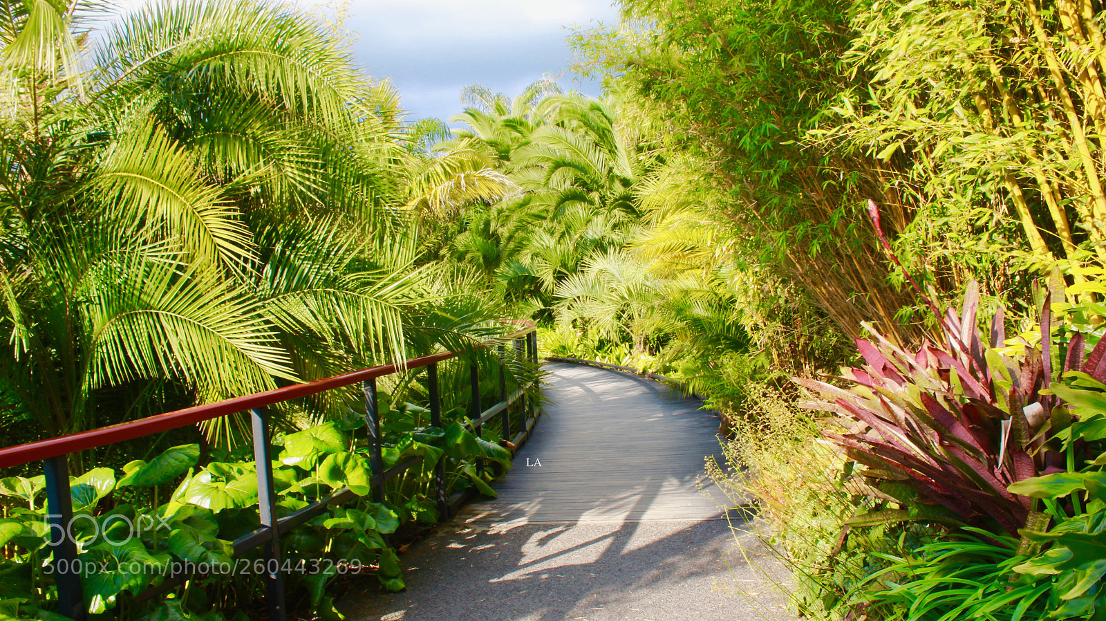 Canon EOS 600D (Rebel EOS T3i / EOS Kiss X5) sample photo. Haven photography