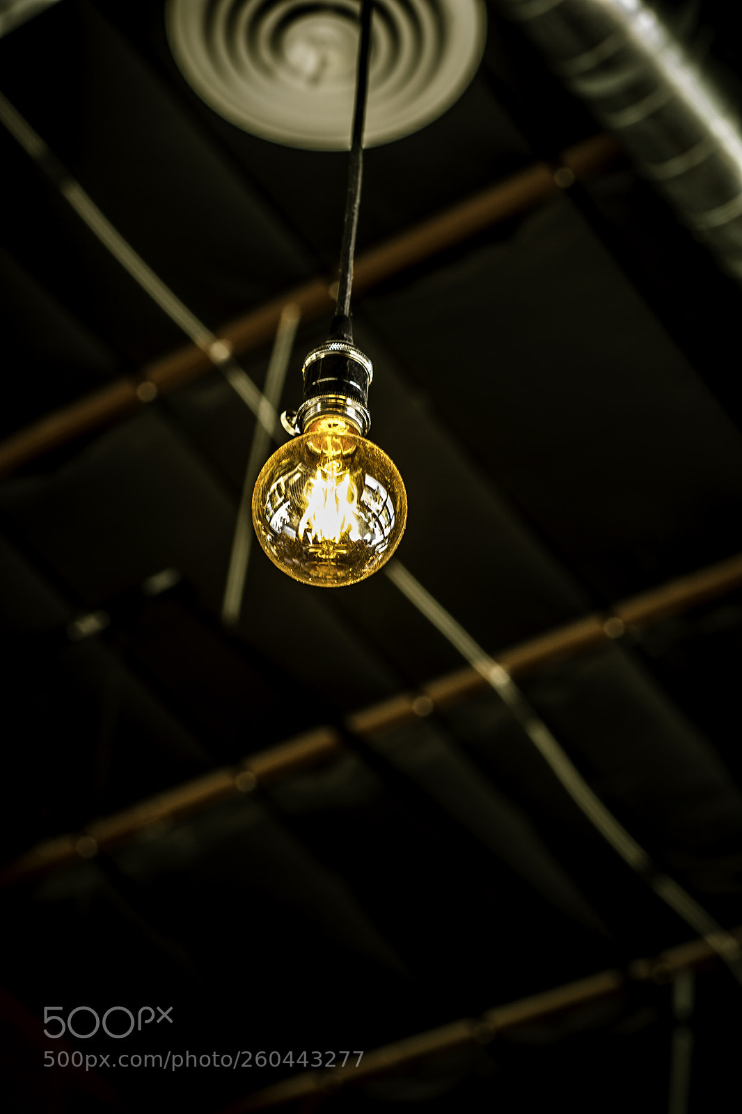 Sony a9 sample photo. The bulb. photography