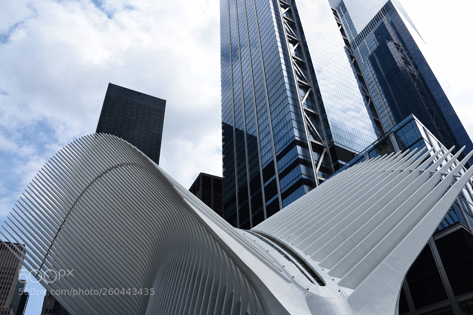 Nikon D7200 sample photo. Oculus photography