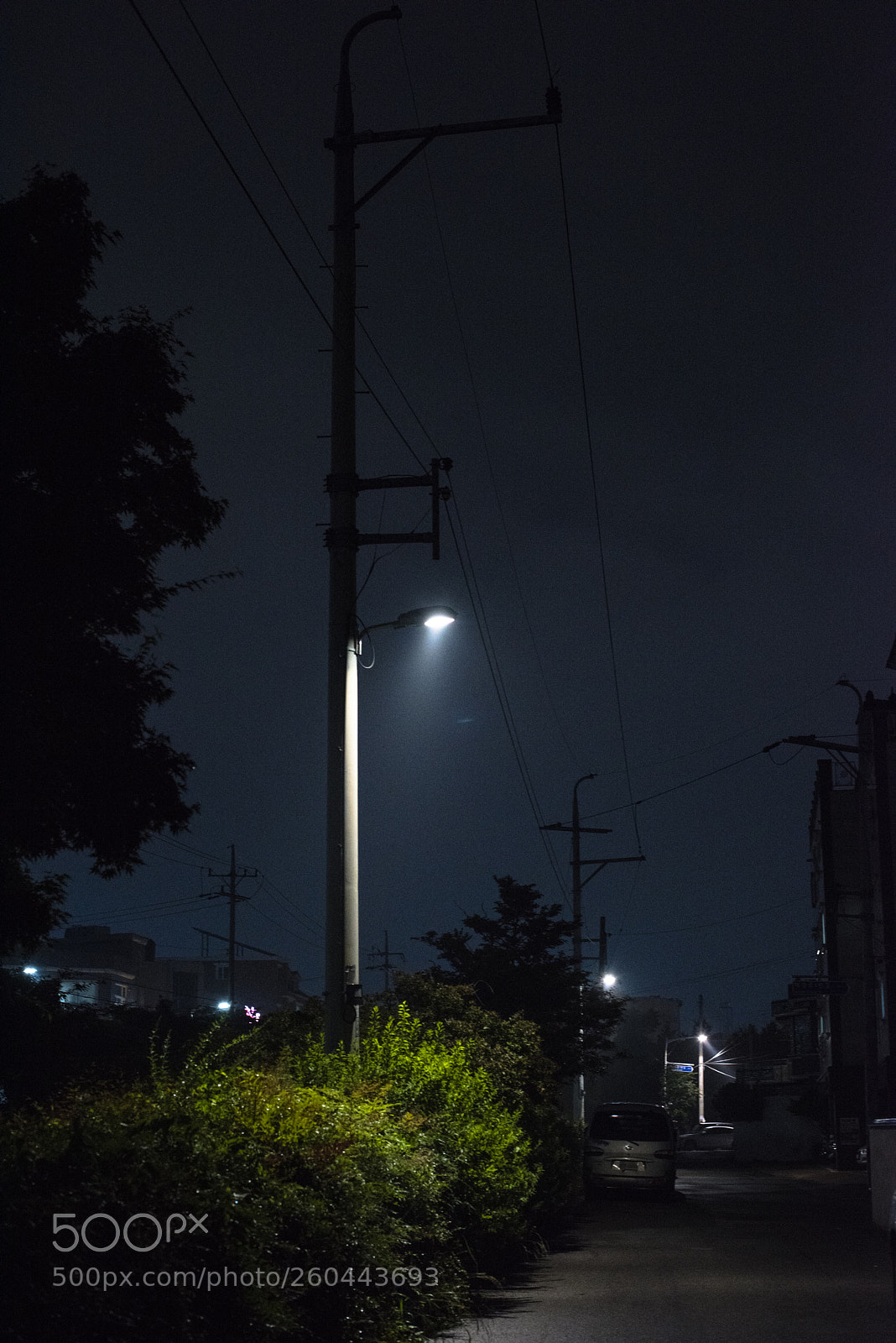 Nikon D810 sample photo. In a night   no.18 photography
