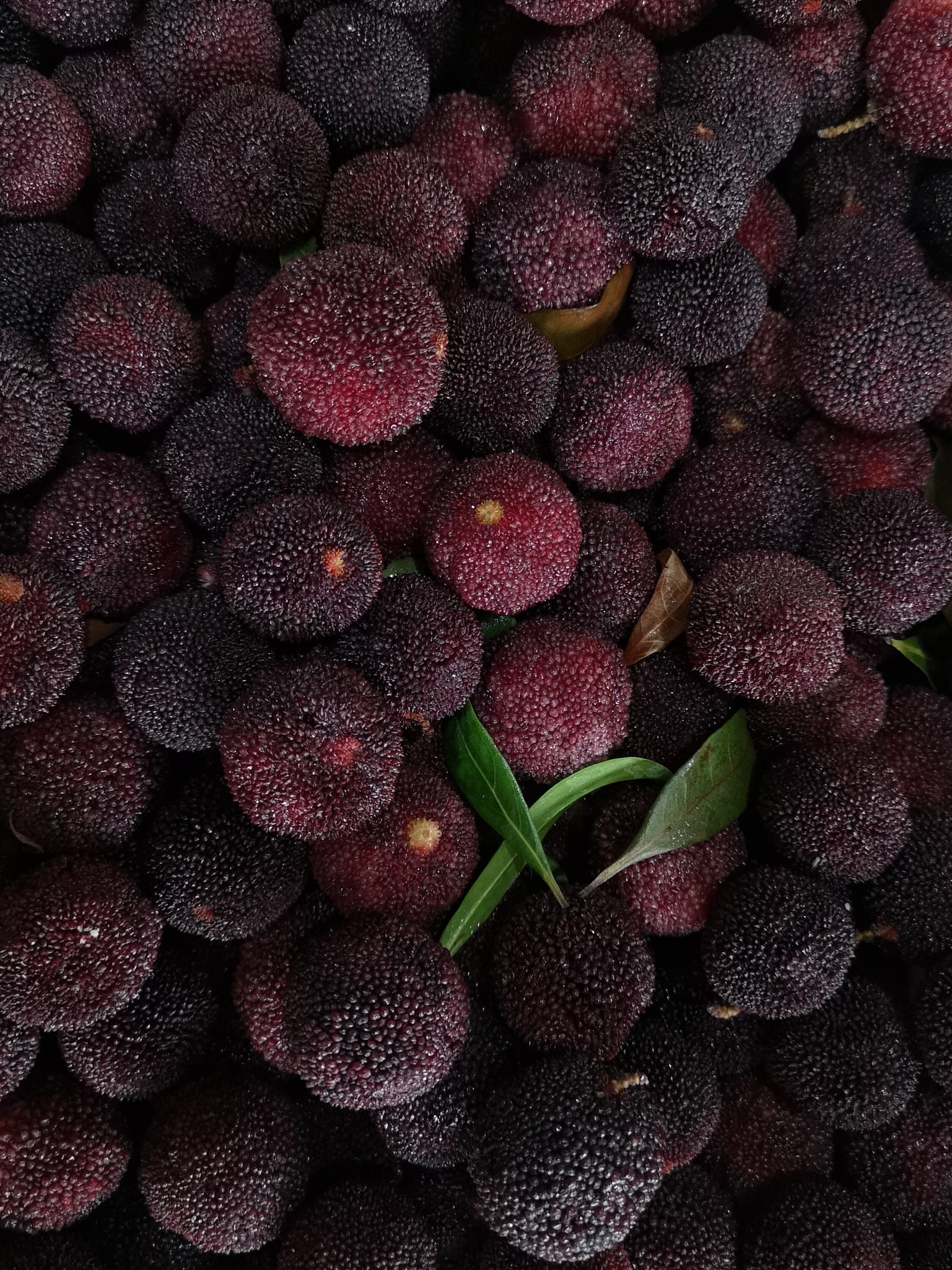 HUAWEI P20 Pro sample photo. Black charcoal  photography