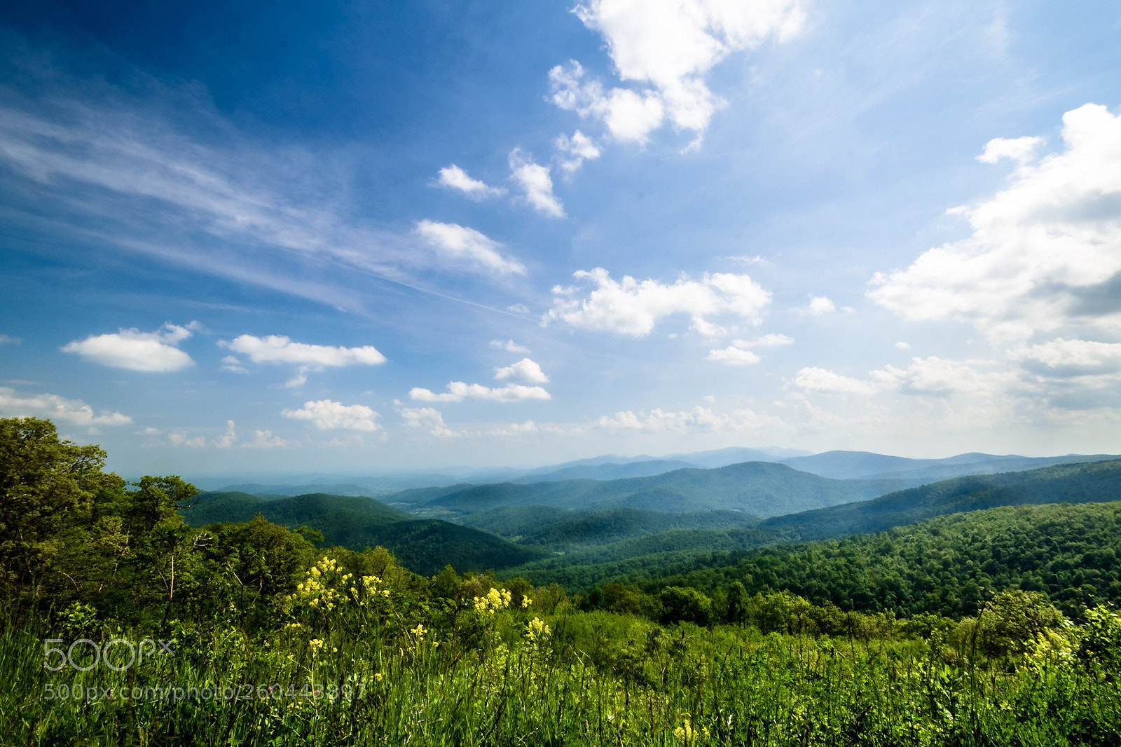 Nikon D750 sample photo. Untitled photography