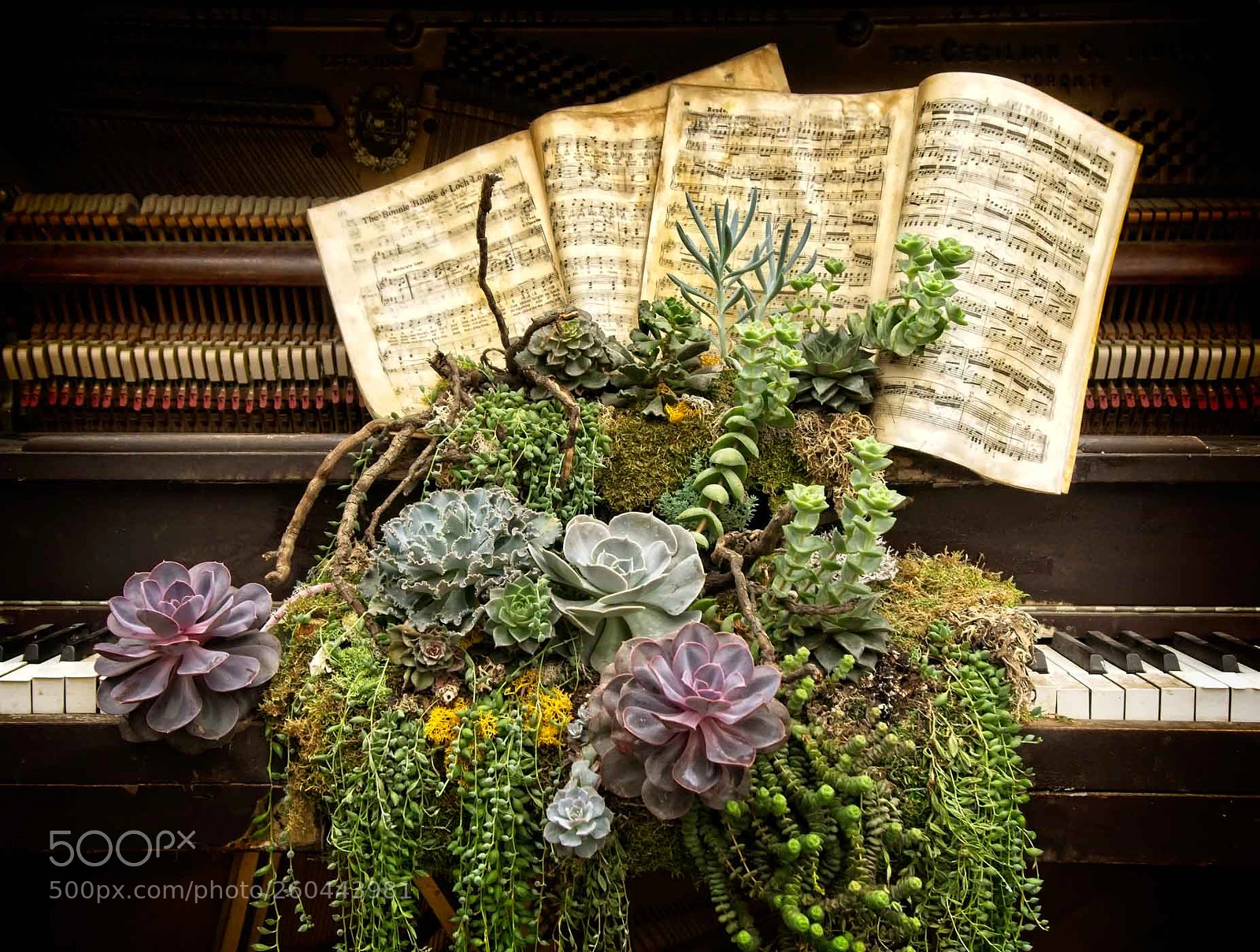 Sony a6000 sample photo. Garden piano photography
