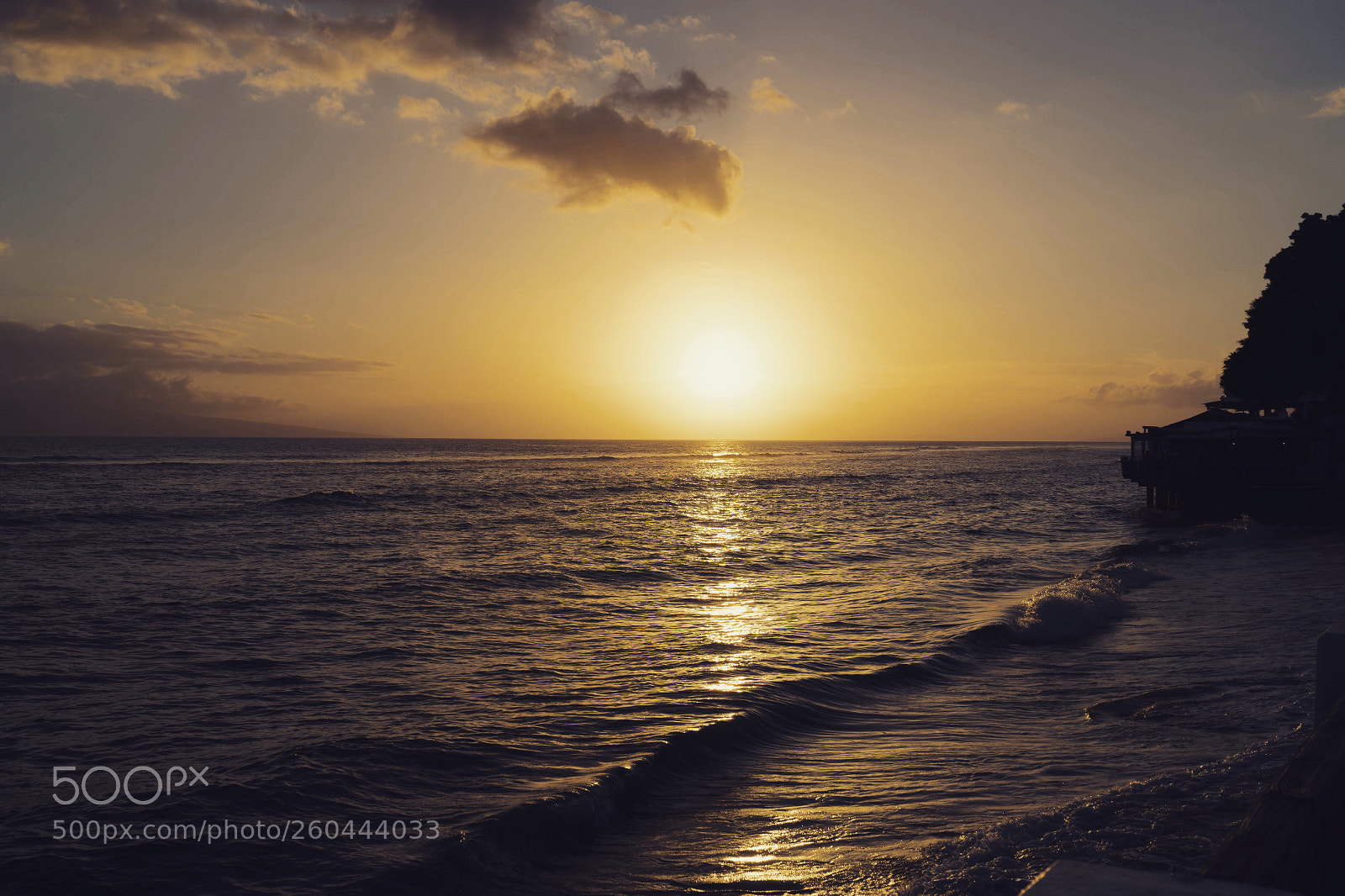 Sony a7 II sample photo. Untitled photography
