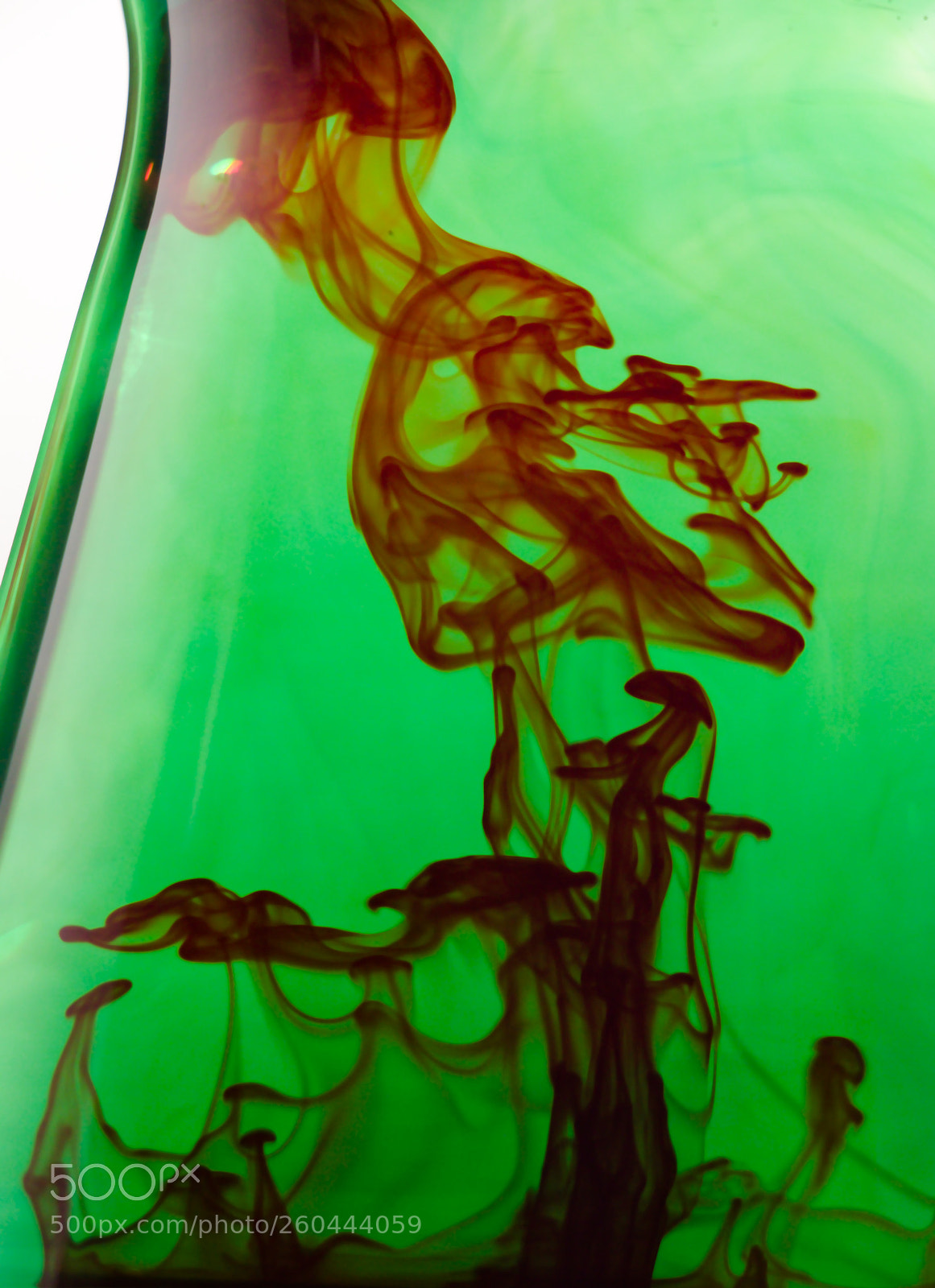 Canon EOS 80D sample photo. Ink in vase photography