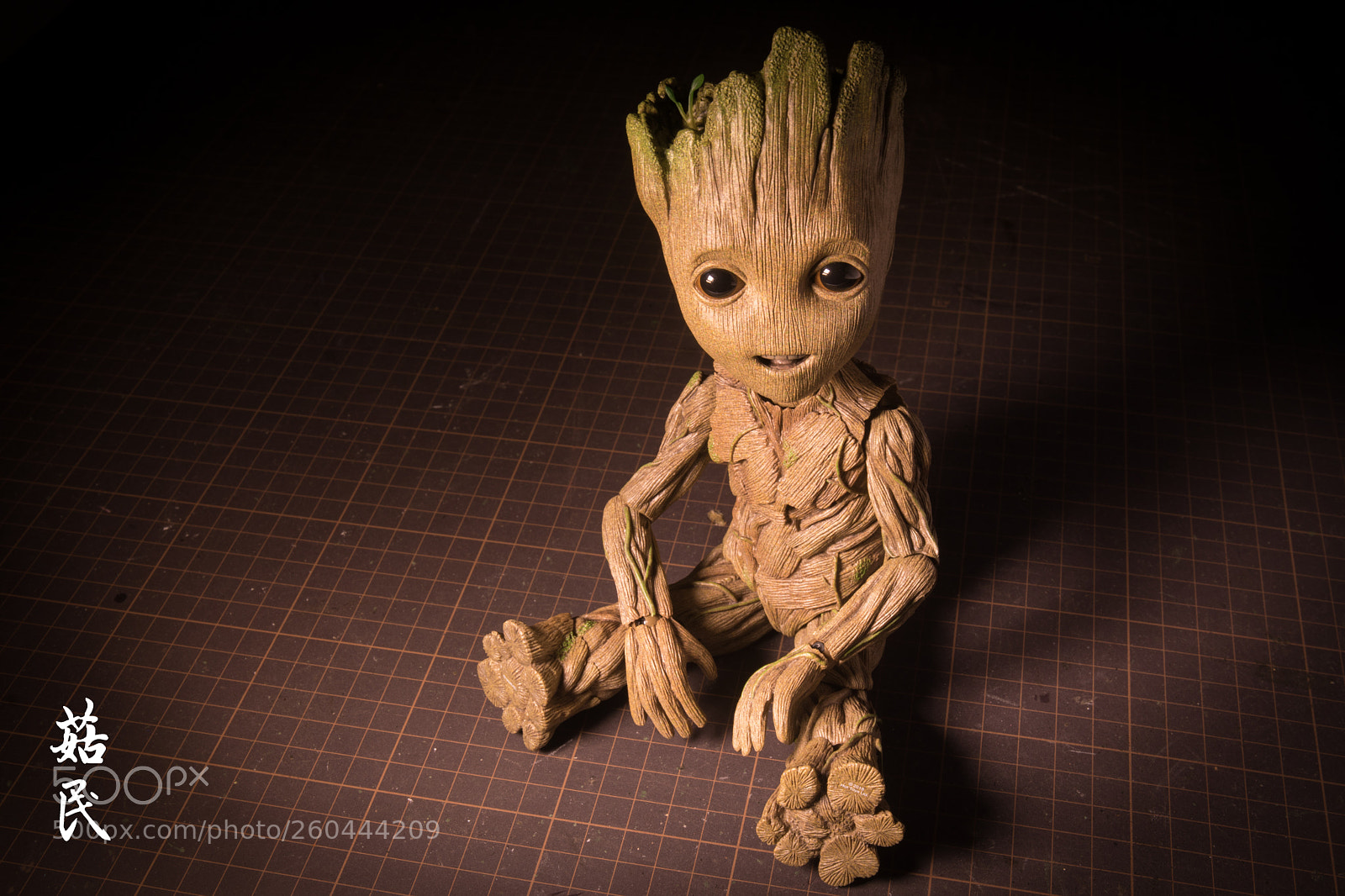 Canon EOS 5D Mark IV sample photo. I am groot. photography