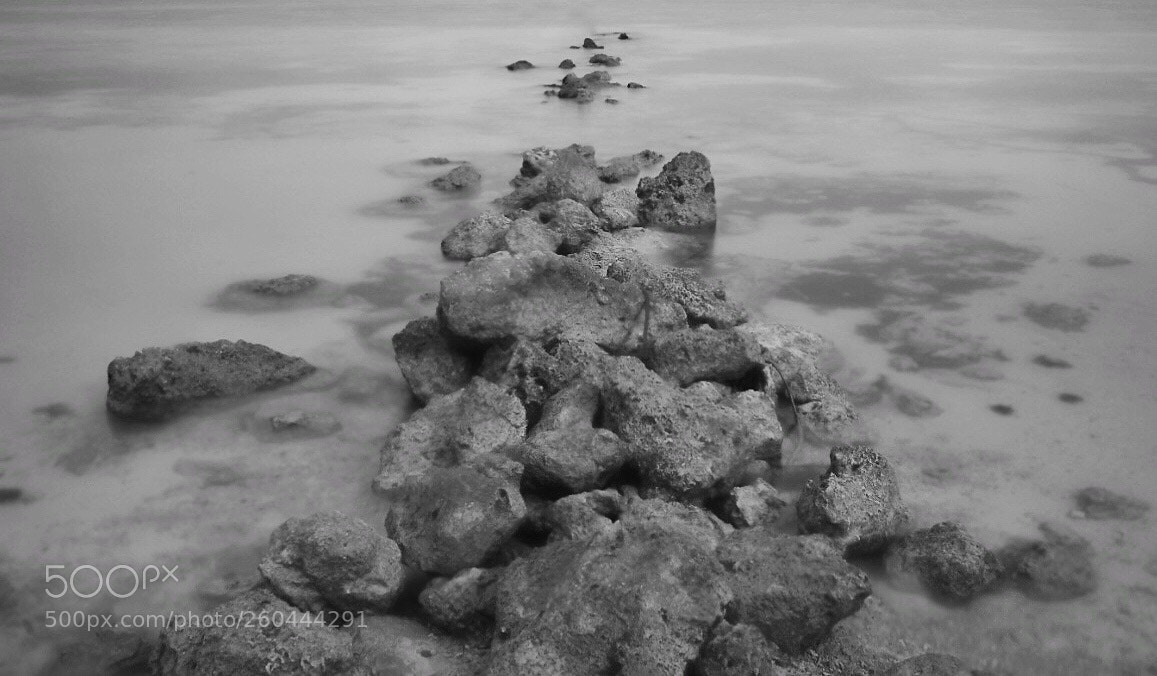Nikon D5300 sample photo. Sea rocks photography