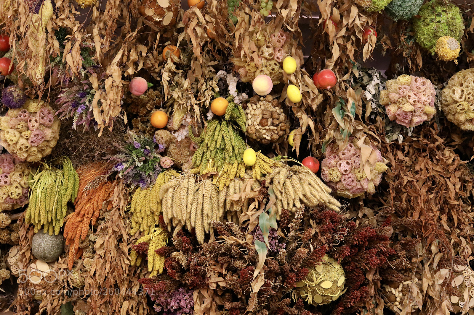 Canon EOS 5D Mark IV sample photo. Dry flowers and fruits  photography