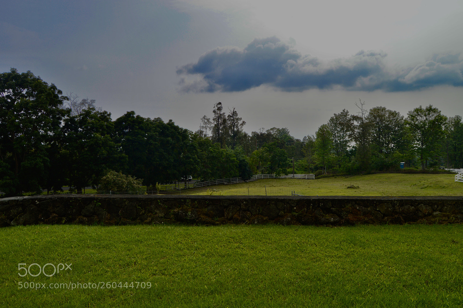 Nikon D3200 sample photo. Fullsizeoutput photography
