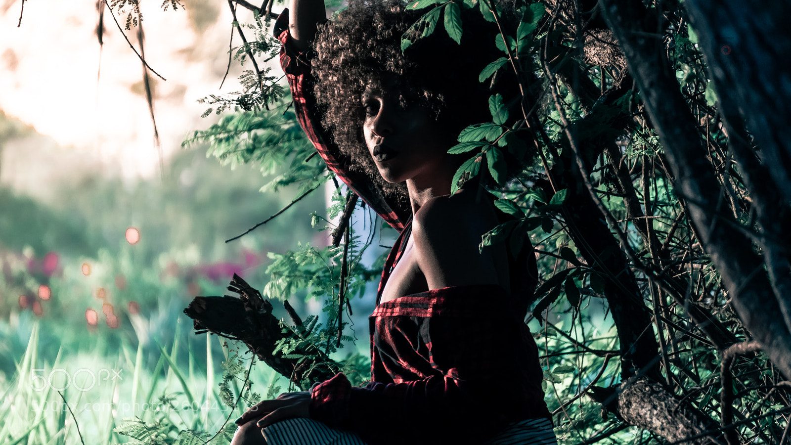 Sony a6300 sample photo. Csft photography