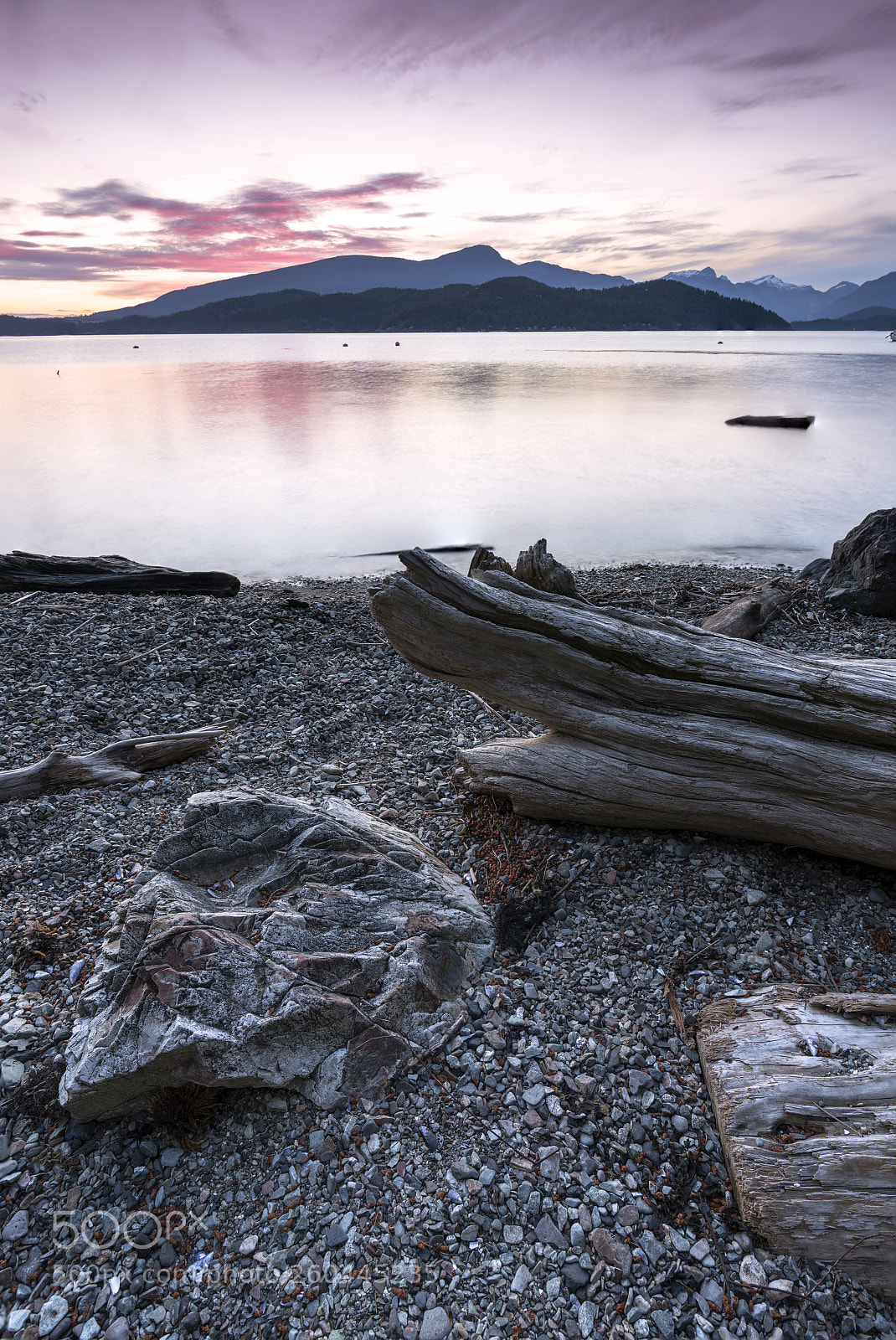 Nikon D850 sample photo. Crimson tide photography