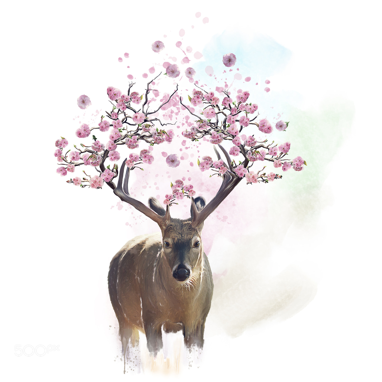 Nikon D800 sample photo. Deer portrait with flowering photography