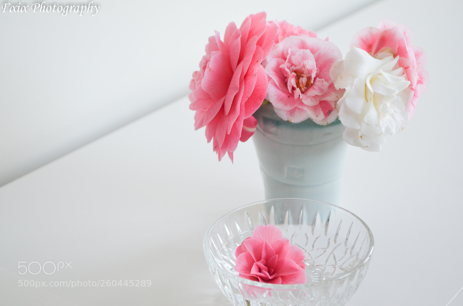 Nikon D5100 sample photo. Untitled photography