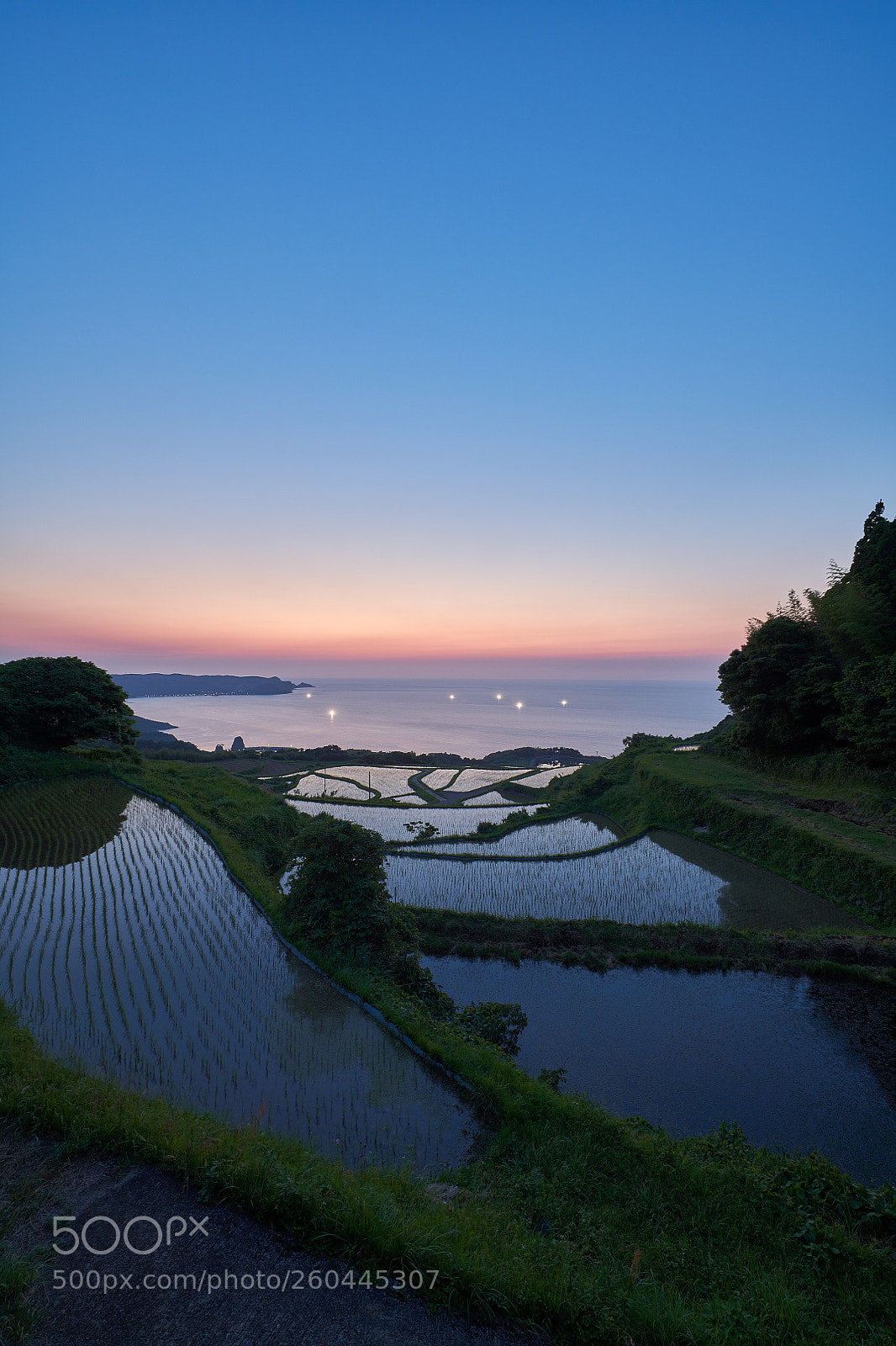 Nikon D850 sample photo. 棚田 photography