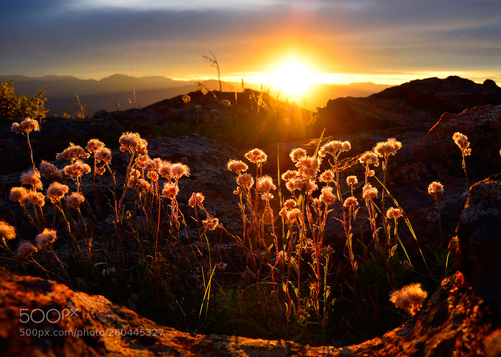 Nikon D7000 sample photo. Devils head sunset colorado photography