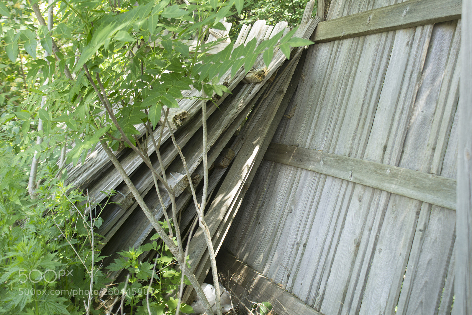 Canon EOS 1200D (EOS Rebel T5 / EOS Kiss X70 / EOS Hi) sample photo. Pieces of a wooden photography