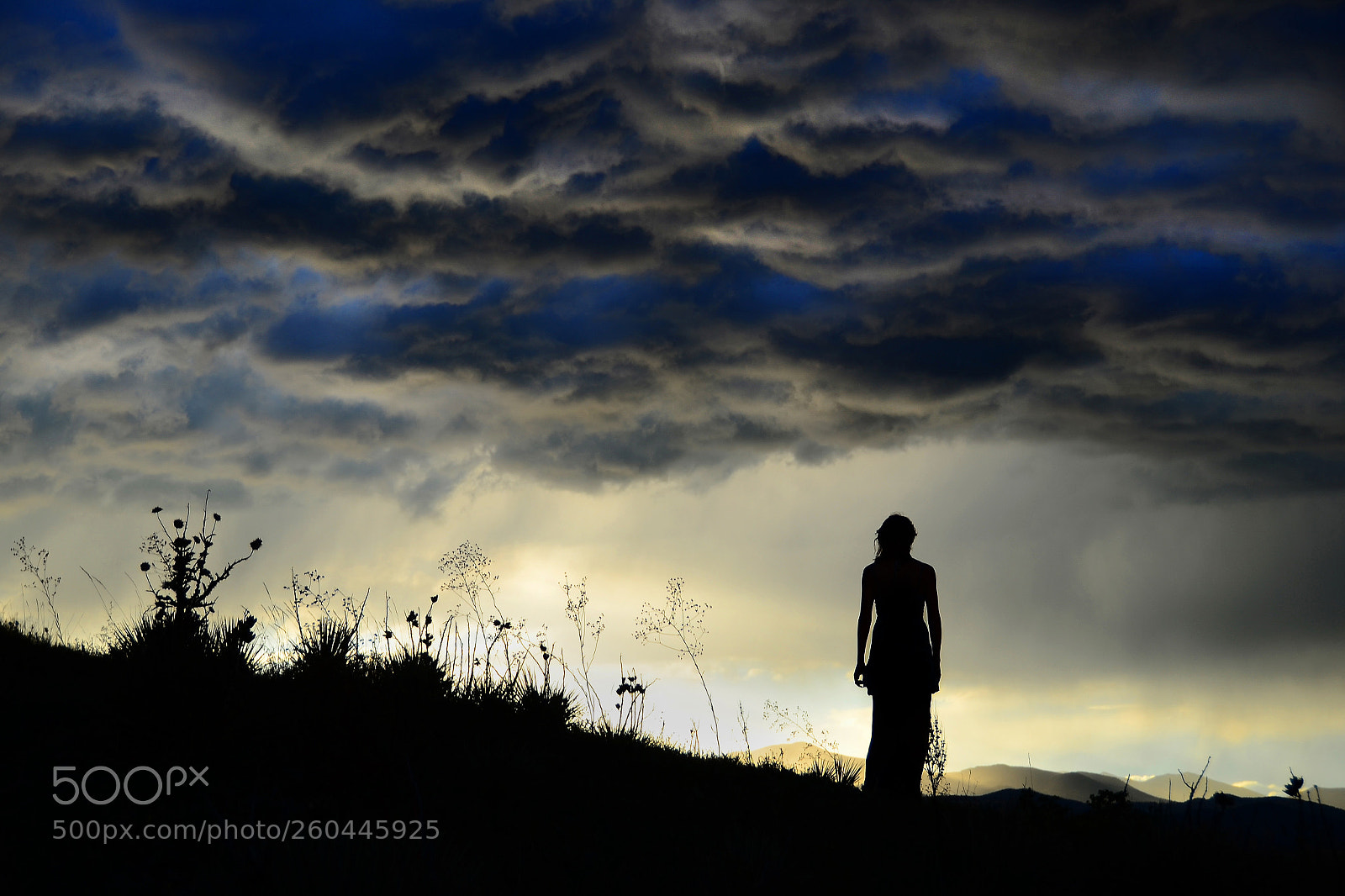 Nikon D7000 sample photo. Standing before the storm photography
