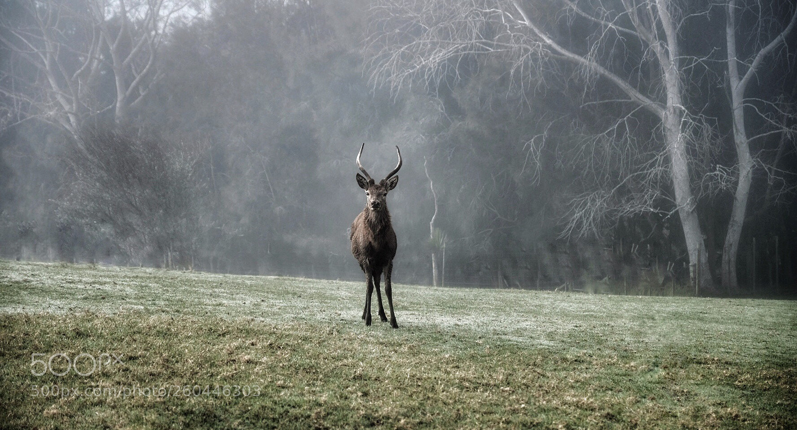 Fujifilm X-H1 sample photo. Venturing out of the photography