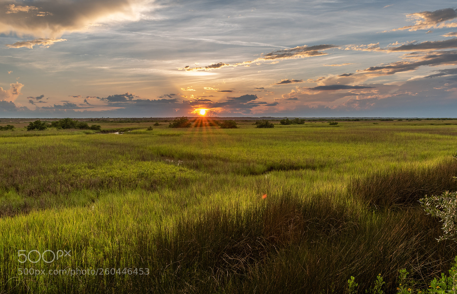 Nikon D750 sample photo. Sunset in the marsh photography