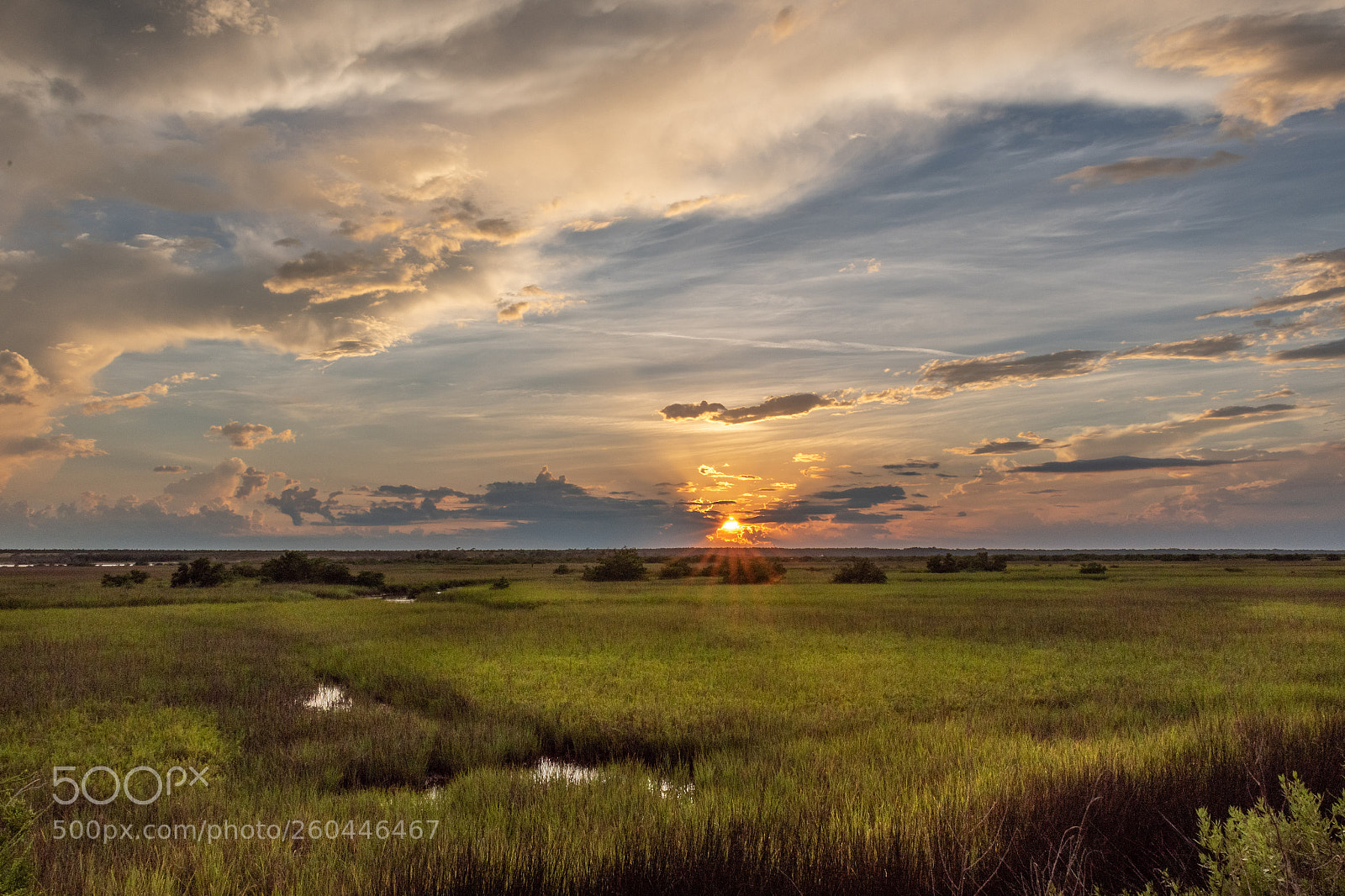 Nikon D750 sample photo. Sunset in the marsh photography