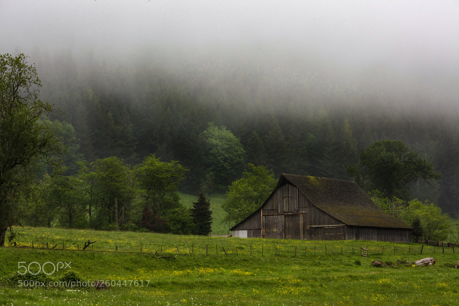 Canon EOS 5D Mark II sample photo. Pierce county photography