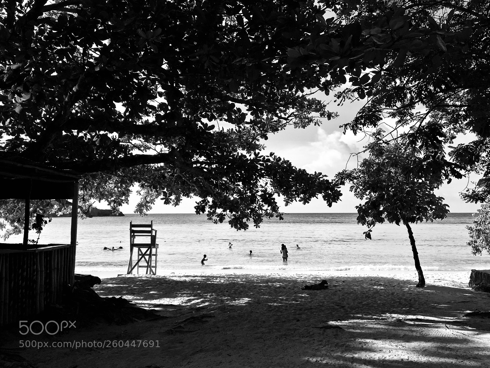 Apple iPhone 6 sample photo. Shady beach photography