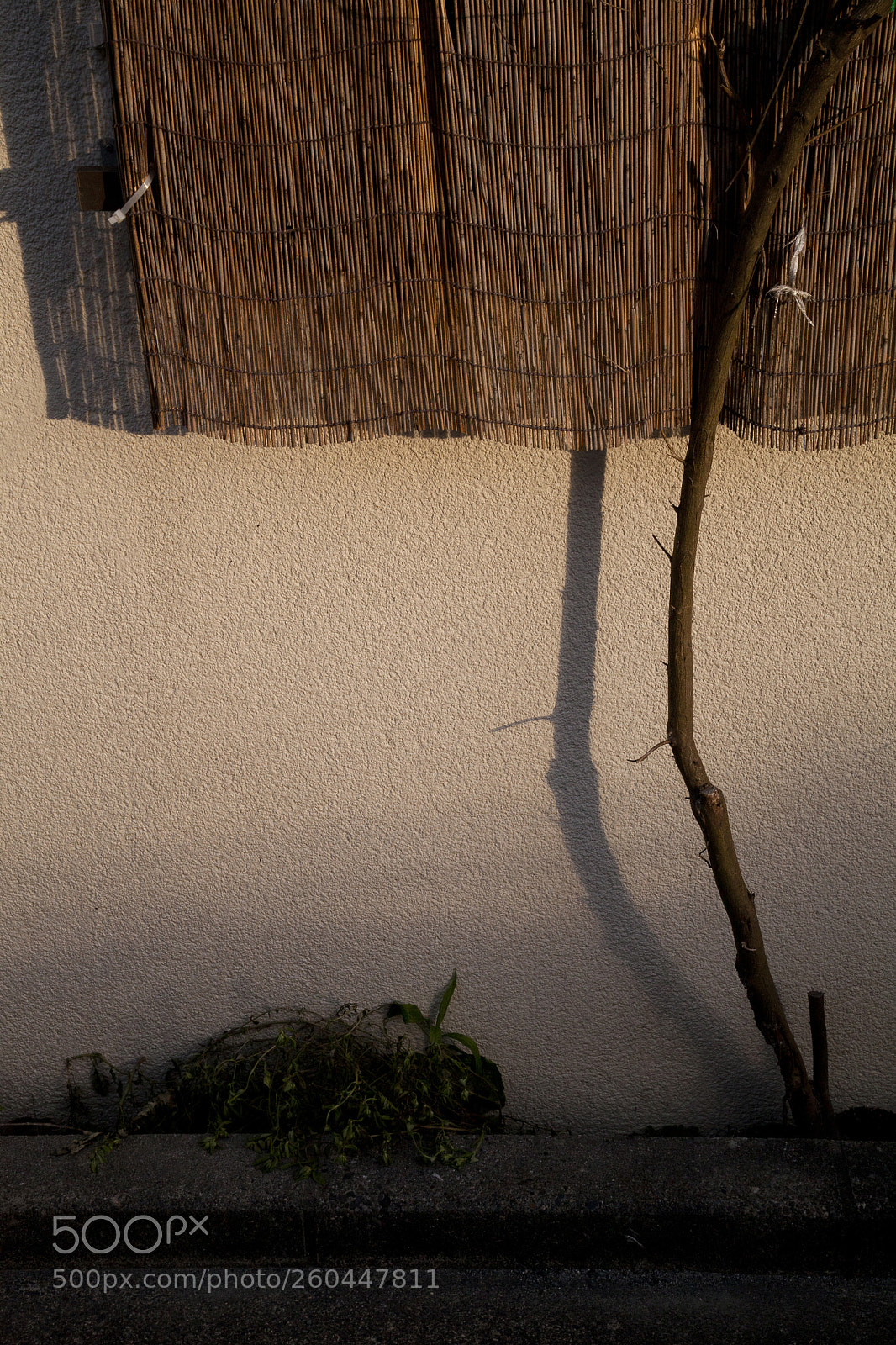 Canon EOS 5D Mark II sample photo. もの憂い夕暮れ　the melancholy dusk photography