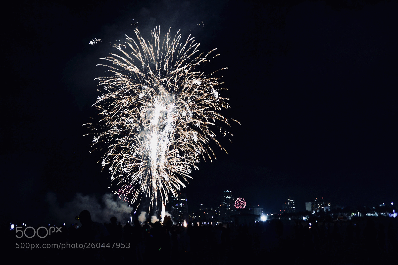 Nikon D3100 sample photo. A new year's celebration photography