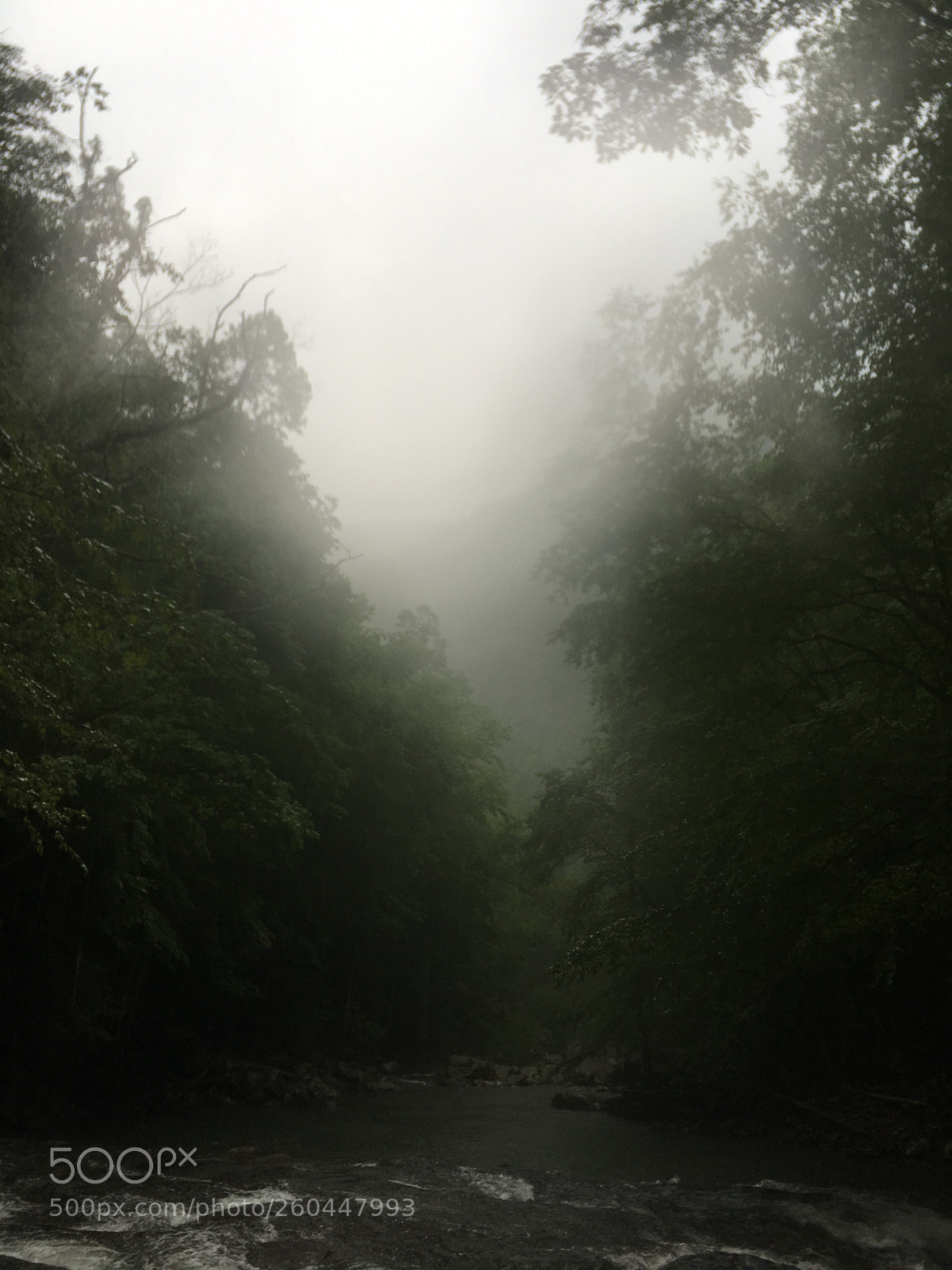 Apple iPhone 6s Plus sample photo. Foggy stream photography