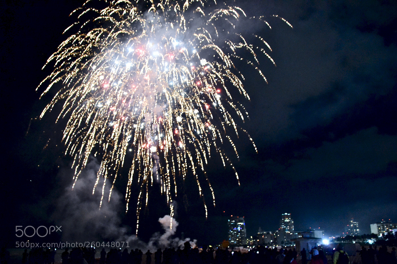 Nikon D3100 sample photo. New year's on miami photography