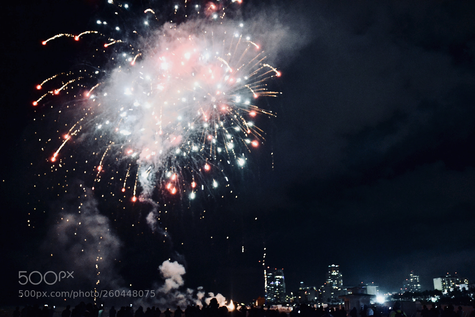 Nikon D3100 sample photo. Celebrating in the night photography